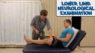 Lower Limb Neurological Examination  OSCE Guide old version  UKMLA  CPSA [upl. by Tioneb]