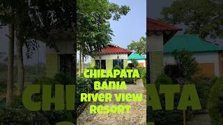 Chilapata forest এর কাছে থাকার সেরা ঠিকানাtravel ytshorts shorts northbengal chilapata [upl. by Asyen89]