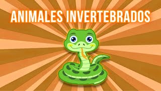 Animales Invertebrados 🐍  Vídeo Educativo para niños [upl. by Kimberlyn]