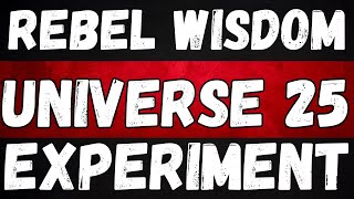 Were Headed to Extinction Universe 25 Experiment  Rebel Wisdom Podcast Episode 23 [upl. by Odicalp]