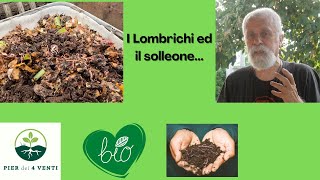 I Lombrichi ed il solleone [upl. by Cottle]