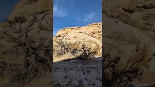 Fabulous Mojave Desertmojave desert hiking nevada calm relaxing [upl. by Tristis]