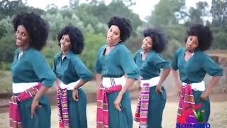 Best Ethiopian Traditional Music 2014 Solomon Demle  Mech Ayeshiwuna [upl. by Reinhard]