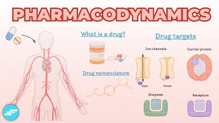 Introduction to Pharmacodynamics  Pharmacology [upl. by Hazlip214]