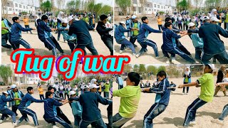 Inter House Tug of War Competition  IPS  Leh [upl. by Eerpud]