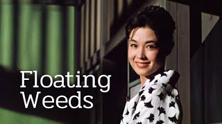 Floating Weeds 1959 Trailer  Director Yasujirô Ozu [upl. by Amehsat969]