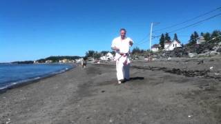 Shinburyu Chitoryu karatedo Kihon no sai by Jean Noel Blanchette 7 Dan [upl. by Monreal]