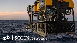 Reloncavi Fjord Vertex  SOI Divestream 703 [upl. by Kraul]