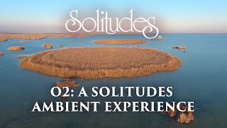 Dan Gibson’s Solitudes  Haze on the Horizon  O2 A Solitudes Ambient Experience [upl. by Ailla]