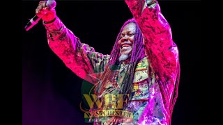 Luciano Performance at Westchester Reggae Festival 2023 [upl. by Mosby]