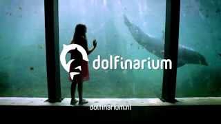 Dolfinarium [upl. by Noyes]