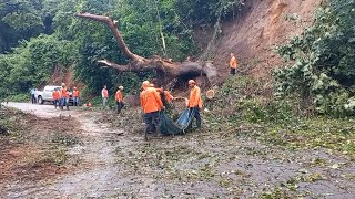 Cuadrillas municipales de Diriamba despejan vías tras caída de árboles en la carretera [upl. by Rise309]