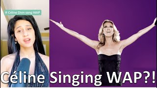 If Céline Dion Sang WAP short version [upl. by Weihs]