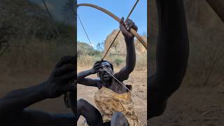 Hadzabe tribe Hunting time Arrows Target 🎯culture hunters wildlife [upl. by Jeromy]