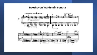 Beethoven Waldstein Sonata Nelson Freires Performance with Sheet Music 1st 2nd and 3rd movement [upl. by Aneloc]