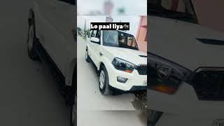 Ye lo paal liya 🐘🔥 ytshorts automobile youtubeshorts love mahindrascorpio scorpio dehradun [upl. by Rekyr]