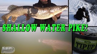 Ice Fishing for Shallow Water Pike [upl. by Leagiba]