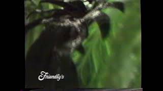 1993 Friendlys Restaurant quotFree Yogurt with any summer saladquot TV Commercial [upl. by Urita650]