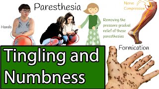 Numbness and Tingling Causes of Paresthesia [upl. by Schott]