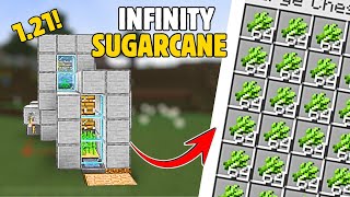 Super Easy Sugarcane Farm Tutorial In Minecraft PE Xbox 121 [upl. by Ludmilla815]