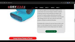 Website Analysis Video for Drystar Restoration [upl. by Neelrad]