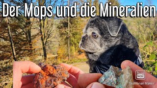 Mineralien Tour Folge 75 rockhounding minerals gemstone [upl. by Ahseral536]