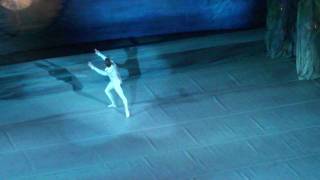 Swan Lake ballet Siegfried´s solo in Act 1 [upl. by Laamaj62]