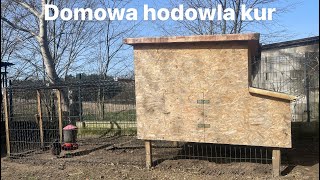 Czy warto hodować kury [upl. by Geno]