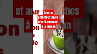 Solution antimoustiques et antimouches à la maison [upl. by Ignatius]