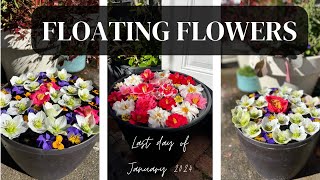 Floating Flower Arrangements [upl. by Ednalrim]