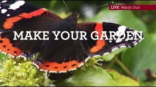 Michaela’s top tips for your wildlife garden in Autumn  Keep it Messy  Watch Out Autumnwatch 2022 [upl. by Deeyn]