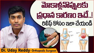 బర్సైటిస్ అంటే ఏమిటి  Knee Bursitis Treatment in Telugu  Dr Uday Reddy  TRH Pain Management [upl. by Idet276]