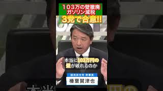 自公国 3党で合意！！103万の壁 ガソリン減税 本格議論スタート！！ 国民民主党 103万円の壁 自民党 公明党 ガソリン 日本経済 日本政治 玉木雄一郎 榛葉賀津也 榛葉幹事長 [upl. by Mcneely251]