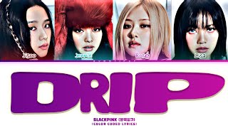 AI COVER BLACKPINK  DRIP Color Coded Lyrics [upl. by Thoer]