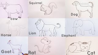 how to draw different animals drawing easy step by stepDrawingTalent [upl. by Einnaf]