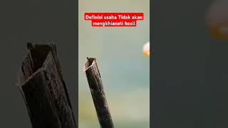 Katak dan capung shorts viralvideo [upl. by Ellenahs]