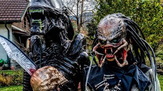 Predator Vs Xenomorph in Real Life AlienGoBoom [upl. by Grayson]