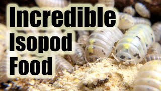 Is this the ultimate ISOPOD Food [upl. by Llecrup]