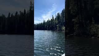 Woods Canyon Lake Arizona  A view from my paddleboard paddleboarding roadtrip explorearizona [upl. by Hilbert]