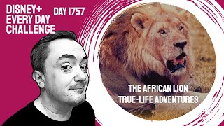 The African Lion TrueLife Adventures  day 1757  Disney Every Day Challenge [upl. by Harak]