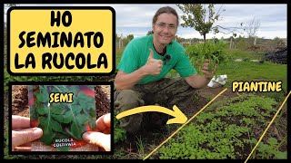 COME e QUANDO Seminare la RUCOLA COLTIVATA  Tutorial Agricoltura [upl. by Amii]