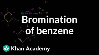 Bromination of benzene  Aromatic Compounds  Organic chemistry  Khan Academy [upl. by Adnoek351]