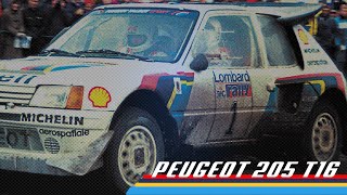 Group B Rally Monster  Peugeot 205 T16 [upl. by Brien]