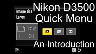 Intro to Nikon D3500 quick menu setup [upl. by Kumagai]