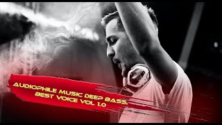 Audiophile Music Deep BASS Best Voice Vol 10 [upl. by Sairahcaz69]