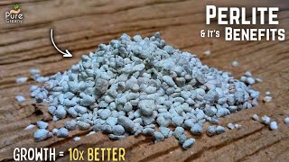 A Mastering Guide On How to Use Perlite For Plants DO amp DONTS Added [upl. by Medina79]