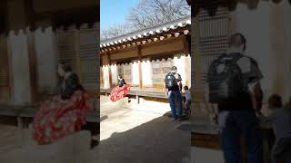 Exploring Seoul Südkorea Changgyeonggung Palace Part 3 [upl. by Davon306]