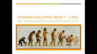 Hominin Evolution Part 1 The First 5 Million Years [upl. by Wylie]