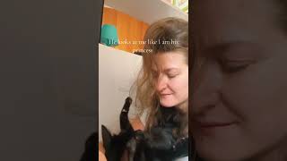 Princess asmr kiotoapparenza gattocarino love italymeet kitten princess cats relax [upl. by Chapa321]