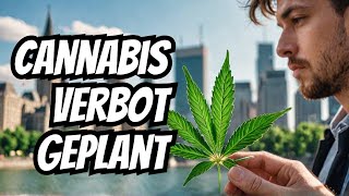 CDU will Cannabis wieder verbieten cdu [upl. by Clement]